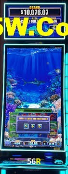 Live Casino 56R